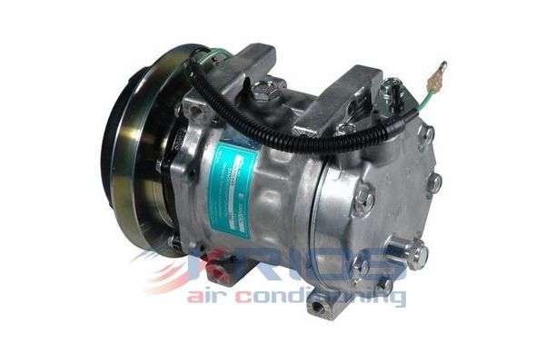 Klima Kompresörü  MAGNETI MARELLI 359002001670
