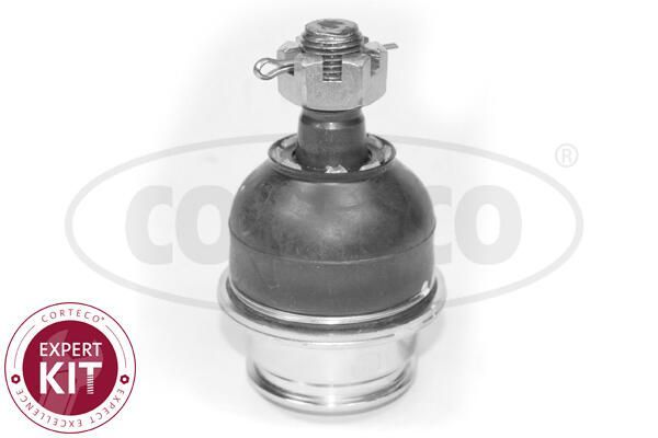 Rotil Alt Sağ veya Sol Toyota Hilux (KUN)(2005->)  ASPART 1BJO1083