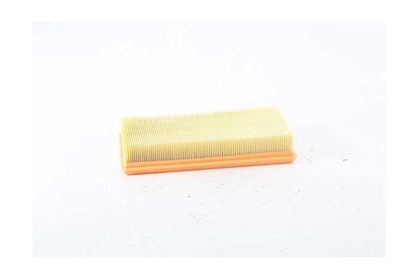 Hava Filtresi  BSG 75-135-010