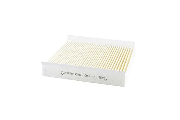 Polen Filtresi  Fiat Doblo (152) Panorama (12.2014->)  BSG 70-145-010