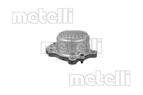 Devirdaim Su Pompası  METELLI 24-1403