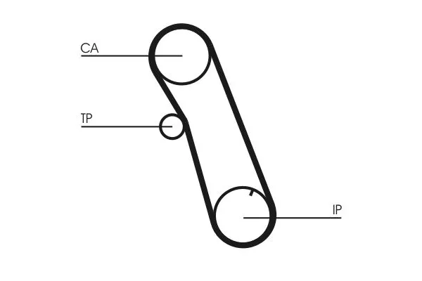 Triger Kayışı  CONTINENTAL CT616