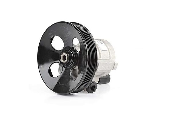 Direksiyon Pompası  BSG 65-355-001