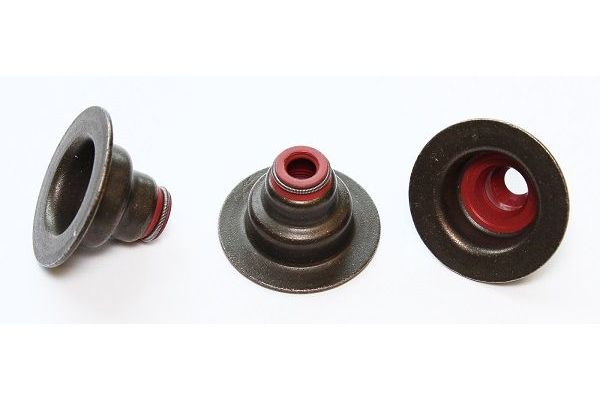 Supap Lastiği  ELRING 090.970