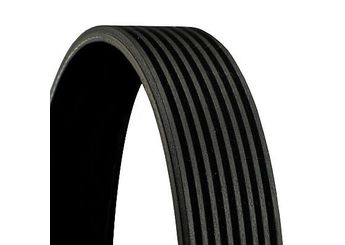 Vantilatör Kayışı  CONTINENTAL 8PK1025  977828 RF5G15909 RF5G-15-909