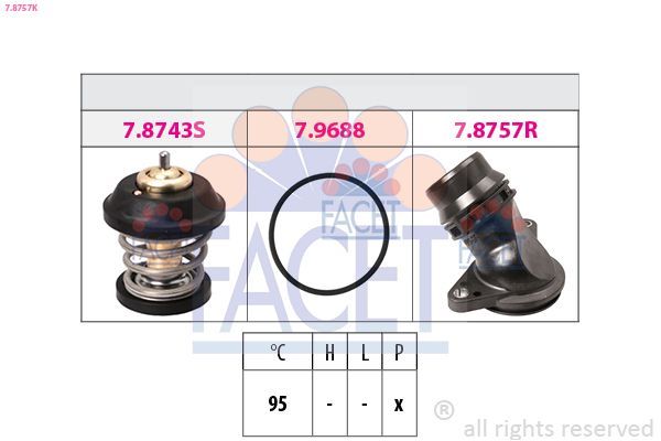 Devirdaim Su Pompası  FACET 78757K