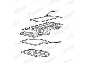 Karter Contası  PAYEN JH5116  11131436324