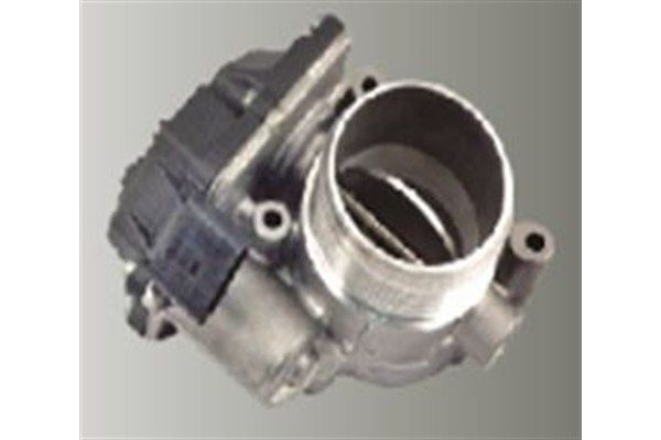 Gaz Kelebeği  MAGNETI MARELLI 359000602390