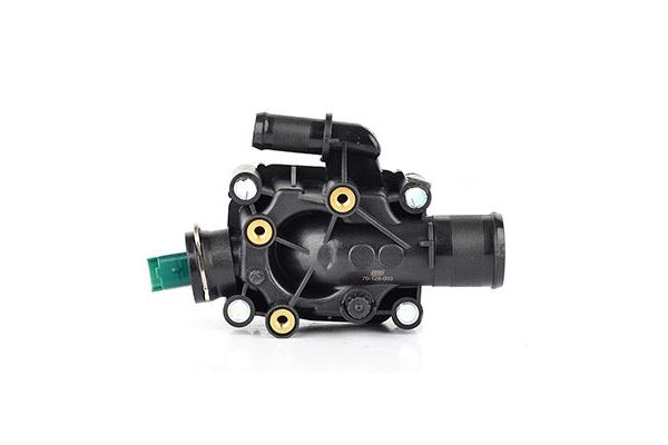 Termostat Gövdesi  BSG 70-126-003