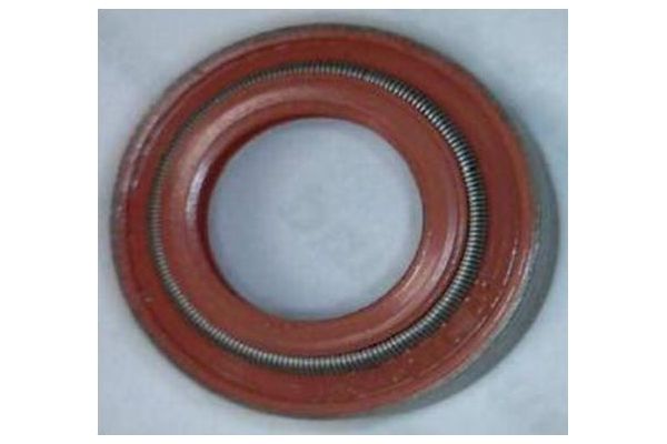 Supap Lastiği  CORTECO 19036763