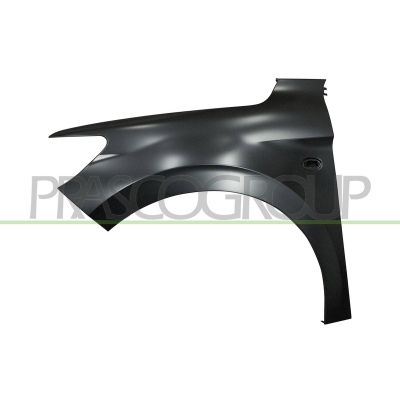Çamurluk Ön Sol Peugeot 301 (11.2012->)  BITAPART BPE309828
