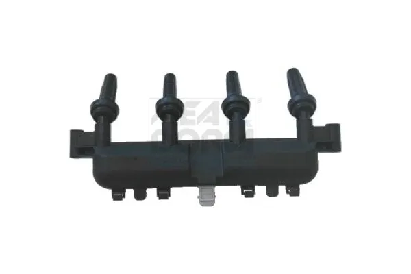 Ateşleme Bobini  Peugeot 206 Sedan (09.2006->)  BITAPART BPE376006