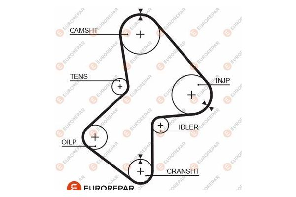 Triger Kayışı  Renault R 5 (B/C40)(1985->)  EUROREPAR 1633139780
