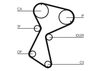 Triger Kayışı  CONTINENTAL CT604  7700727166 30777406 3343893