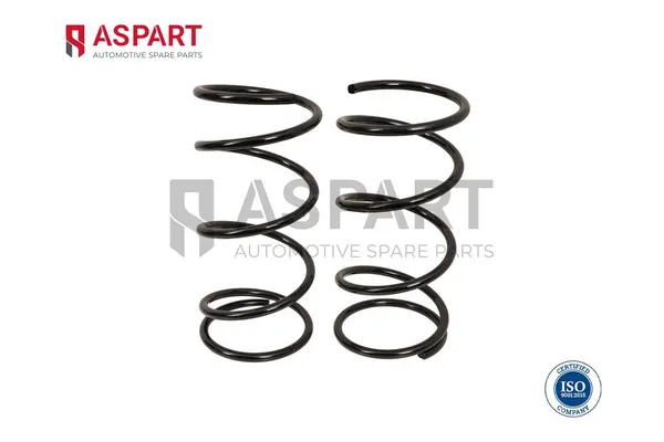 Helezon Yayı Arka ASPART 1CSP1107