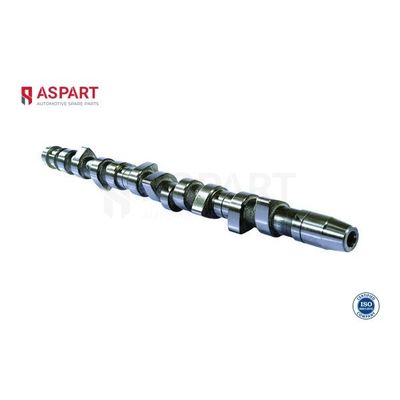 Eksantrik Mili  Volkswagen Crafter Minibüs (2E)(03.2006->2017)  ASPART 8CAM1014