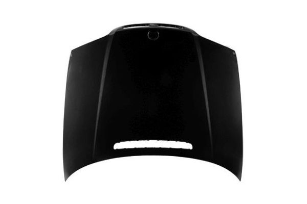 Motor Kaputu  BMW 3 Serisi Touring (E46)(1999->)  VORTEX V0200220