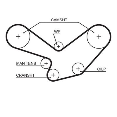 Triger Kayışı  GATES 5096