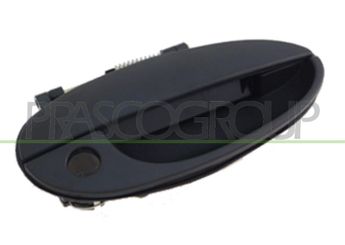 Kapı Kolu Ön Dış Sağ HUSHAN 025-3021  