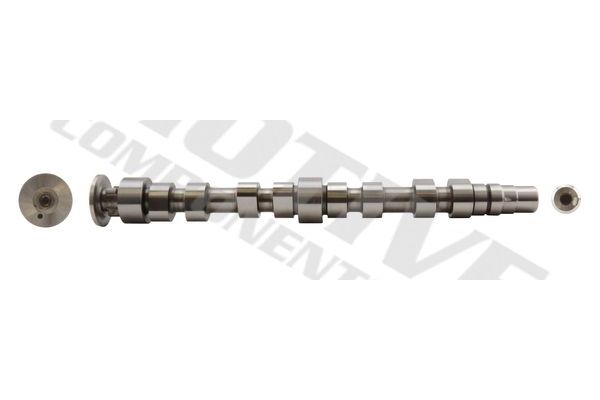 Eksantrik Mili  MOTIVE T2177