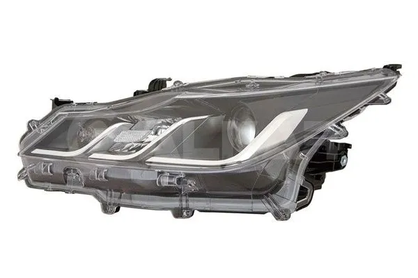 Far Sağ CASP 174287XDER