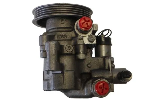 Direksiyon Pompası  SPIDAN GKNY10016