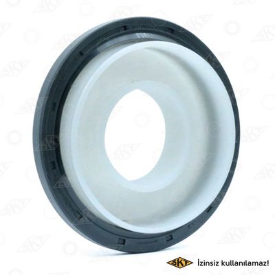 Krank Keçesi Arka Renault Clio IV (2012->)  SKT 047904-FP