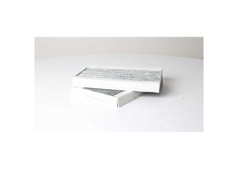 Polen Filtresi  BSG 60-145-030  A2228300318 2228300318 222 830 03 18 2228300418 222 830 04 18 A 222 830 03 18 A2228300418 A 222 830 04 18