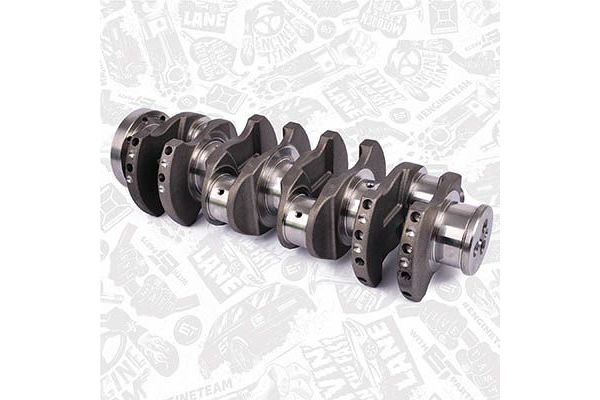 Krank  GENMOT 1061-1