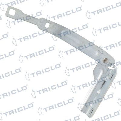 Motor Kaput Menteşesi Sağ Dacia Duster I (03.2010->)  BITAPART BDA276002