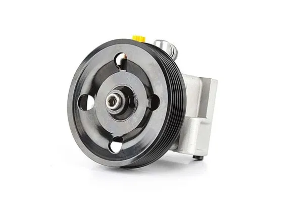 Direksiyon Pompası  BSG 30-355-008