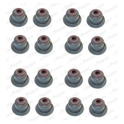 Supap Lastiği  PSA ORJINAL 095652