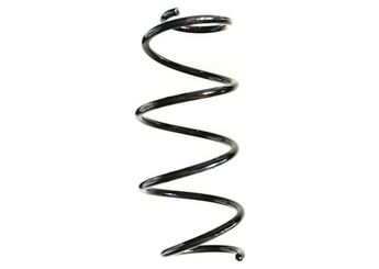 Helezon Yayı Ön SPIDAN GKNW10156  D10F34011 D10F-34-011