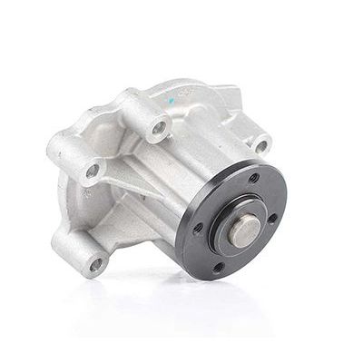 Devirdaim Su Pompası  BSG 60-500-013