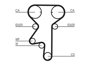 Triger Kayış Seti  CONTINENTAL CT975WP2  1629094
