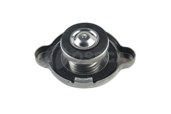 Radyatör Kapağı  GVA 9891611