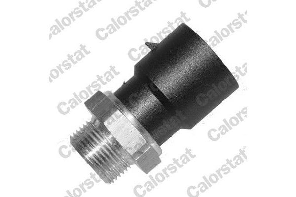 Fan Müşürü  CALORSTAT TS2962