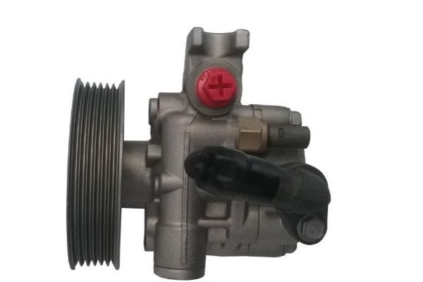 Direksiyon Pompası  SPIDAN GKNY10103