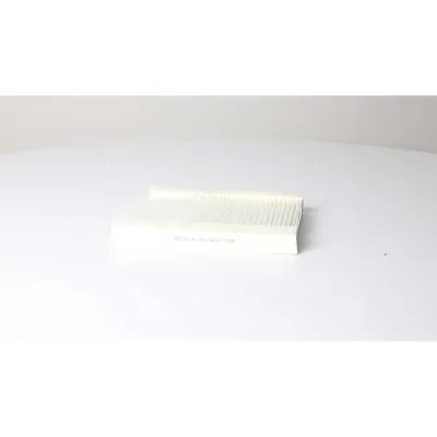 Polen Filtresi  Fiat Doblo (223) Cargo/Combi (08.2005->)  BSG 25-145-004