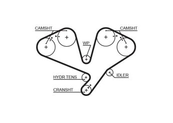 Triger Kayışı  GATES 5659XS  2431239400 24312-39400 2431239000 MD199079 MD347533 MD354366