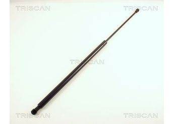 Bagaj Amortisörü Sağ veya Sol FROW 313.1650.004  8731F1 8731.F1