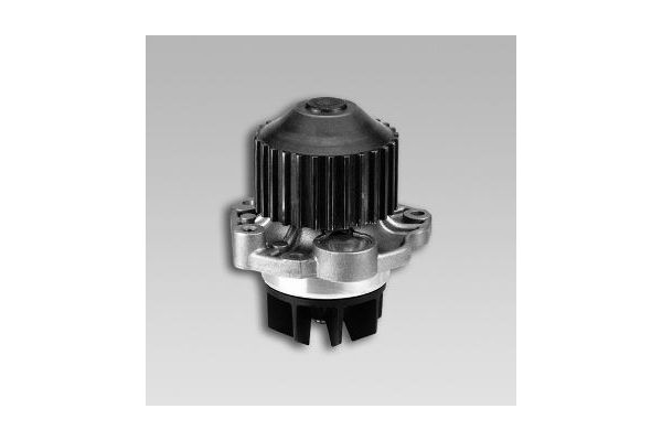 Devirdaim Su Pompası  GK 986802