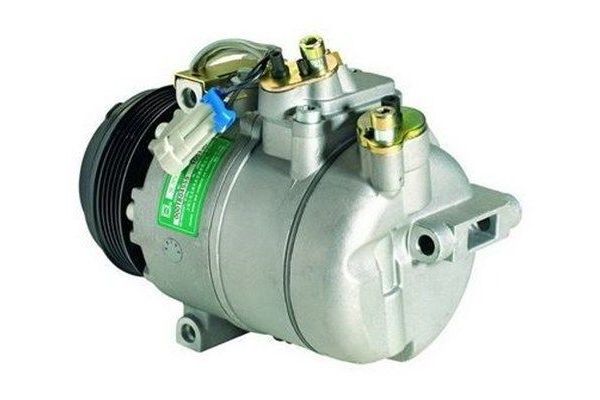 Klima Kompresörü  MAGNETI MARELLI 359002000500