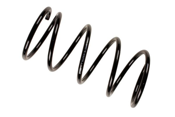 Helezon Yayı Ön Honda Civic HB (EU)(01.2001->)  FROW 553.1233.021