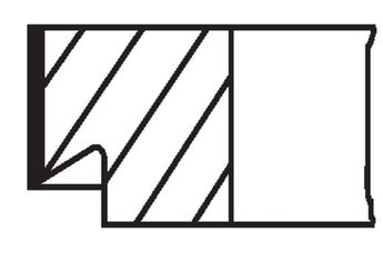 Segman (STD)  MOBIS 2304004260  2304004260