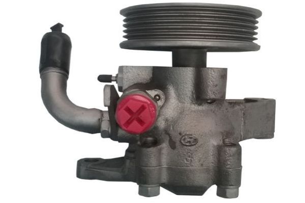 Direksiyon Pompası  SPIDAN GKNY10093