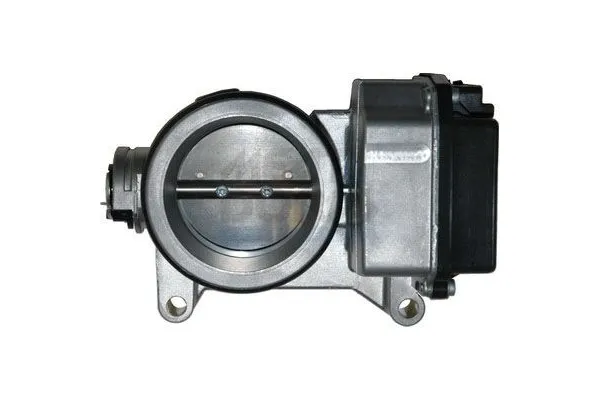 Gaz Kelebeği  Dacia Sandero (06.2008->)  OEK 8200123061