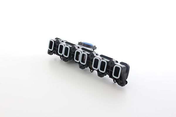 Manifold  BSG 30-165-008