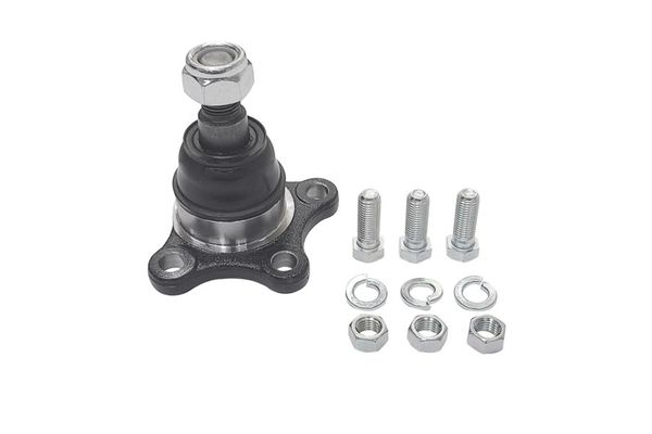 Rotil Alt Sağ veya Sol CTR CB0177