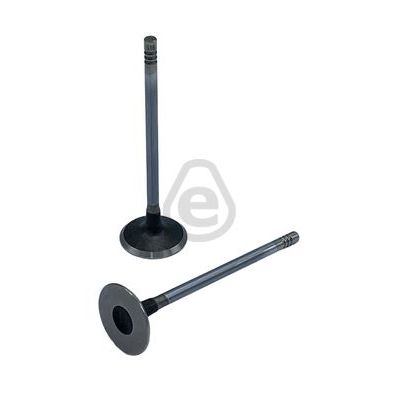 Supap  SUPSAN VT-363262-363263